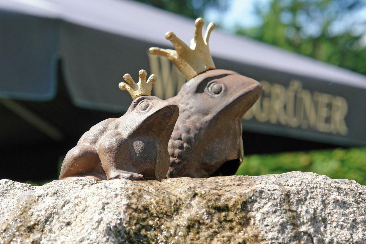 Hotel Und Restaurant Buehlhaus Eibenstock Eksteriør bilde